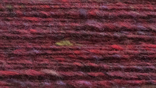 Salamanca Tassie Tweed 8ply 50g